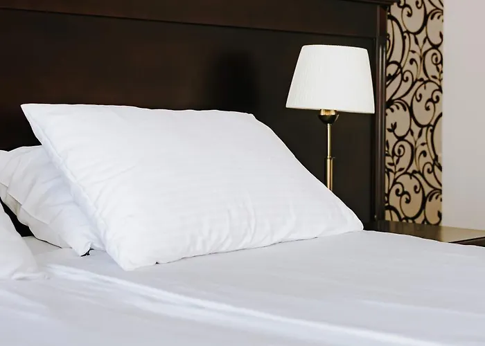 Hotel Wileński Olsztyn (Warmian-Masurian)